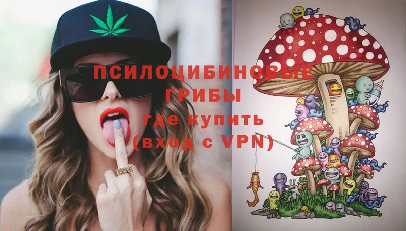 Галлюциногенные грибы Psilocybe  Нововоронеж 